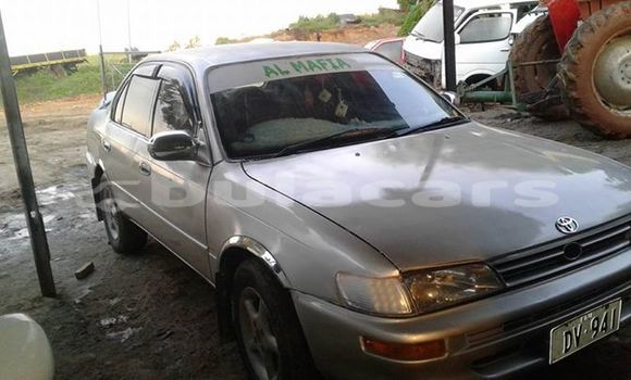 Buy Used Toyota Corolla Other Car in Korovou in Central Buy Used Toyota Corolla Other Car in Korovou in Central