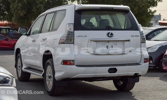Buy Import Lexus GX White Car in Import - Dubai in Central Buy Import Lexus GX White Car in Import - Dubai in Central