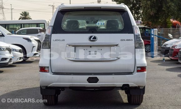 Buy Import Lexus GX White Car in Import - Dubai in Central Buy Import Lexus GX White Car in Import - Dubai in Central