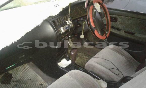 Buy Used Toyota Corolla Other Car in Korovou in Central Buy Used Toyota Corolla Other Car in Korovou in Central