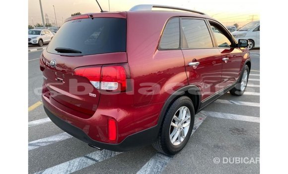 Buy Import Kia Sorento Red Car in Import - Dubai in Central Buy Import Kia Sorento Red Car in Import - Dubai in Central