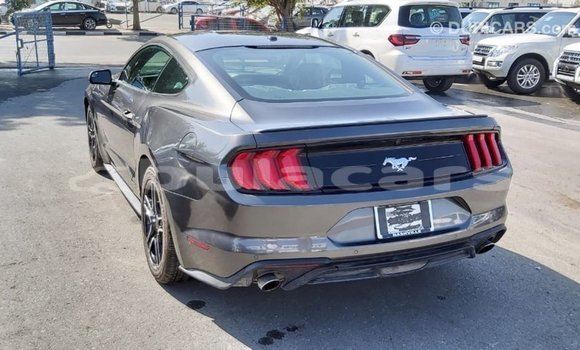 Acheter Import Voiture Ford Mustang Gris à Import - Dubai, Central Acheter Import Voiture Ford Mustang Gris à Import - Dubai, Central