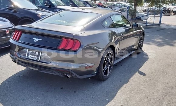 Acheter Import Voiture Ford Mustang Gris à Import - Dubai, Central Acheter Import Voiture Ford Mustang Gris à Import - Dubai, Central