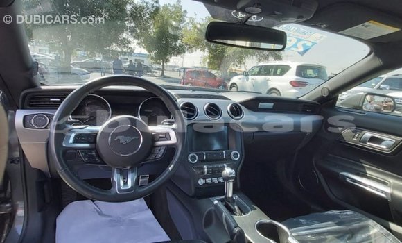 Acheter Import Voiture Ford Mustang Gris à Import - Dubai, Central Acheter Import Voiture Ford Mustang Gris à Import - Dubai, Central