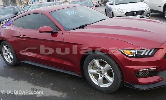 Acheter Import Voiture Ford Mustang Rouge à Import - Dubai, Central Acheter Import Voiture Ford Mustang Rouge à Import - Dubai, Central