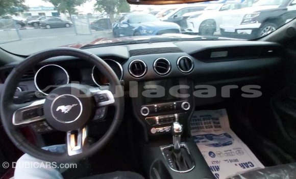 Acheter Import Voiture Ford Mustang Rouge à Import - Dubai, Central Acheter Import Voiture Ford Mustang Rouge à Import - Dubai, Central
