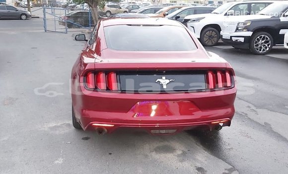 Acheter Import Voiture Ford Mustang Rouge à Import - Dubai, Central Acheter Import Voiture Ford Mustang Rouge à Import - Dubai, Central