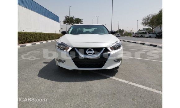 Acheter Import Voiture Nissan Maxima Blanc à Import - Dubai, Central Acheter Import Voiture Nissan Maxima Blanc à Import - Dubai, Central