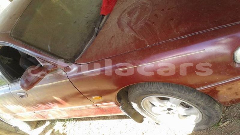 Big with watermark post id 3804 pzep3