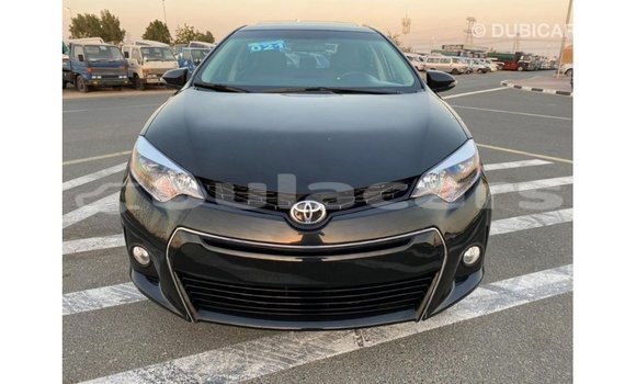 Buy Import Toyota Corolla Black Car in Import - Dubai in Central Buy Import Toyota Corolla Black Car in Import - Dubai in Central