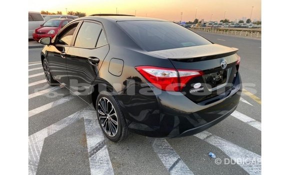 Buy Import Toyota Corolla Black Car in Import - Dubai in Central Buy Import Toyota Corolla Black Car in Import - Dubai in Central
