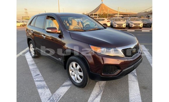 Buy Import Kia Sorento Brown Car in Import - Dubai in Central Buy Import Kia Sorento Brown Car in Import - Dubai in Central