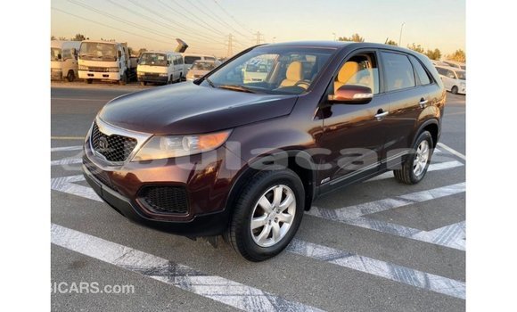 Buy Import Kia Sorento Brown Car in Import - Dubai in Central Buy Import Kia Sorento Brown Car in Import - Dubai in Central
