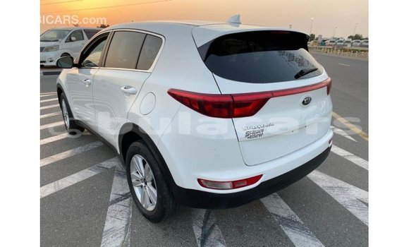 Buy Import Kia Sportage White Car in Import - Dubai in Central Buy Import Kia Sportage White Car in Import - Dubai in Central