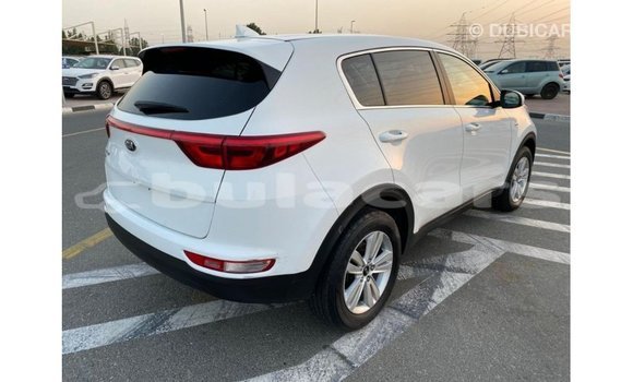 Buy Import Kia Sportage White Car in Import - Dubai in Central Buy Import Kia Sportage White Car in Import - Dubai in Central