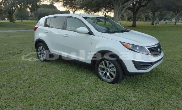 Buy Used Kia Sportage Other Car in Suva in Central