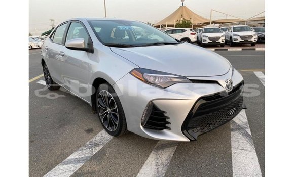 Buy Import Toyota Corolla Grey Car in Import - Dubai in Central Buy Import Toyota Corolla Grey Car in Import - Dubai in Central