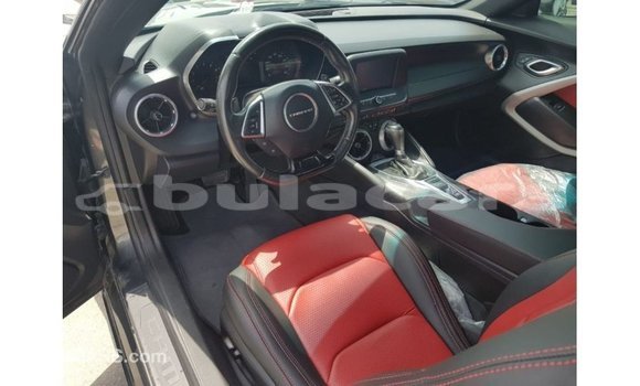 Buy Import Chevrolet Camaro Grey Car in Import - Dubai in Central Buy Import Chevrolet Camaro Grey Car in Import - Dubai in Central
