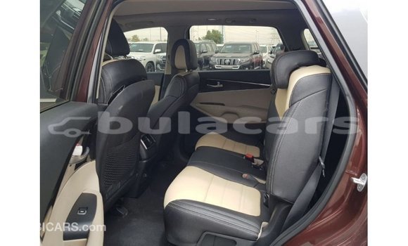 Buy Import Kia Sorento Red Car in Import - Dubai in Central Buy Import Kia Sorento Red Car in Import - Dubai in Central