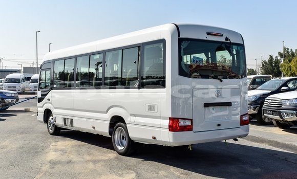 Buy Import Toyota Coaster White Car in Import - Dubai in Central Buy Import Toyota Coaster White Car in Import - Dubai in Central
