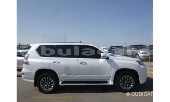Buy Import Lexus GX White Car in Import - Dubai in Central Buy Import Lexus GX White Car in Import - Dubai in Central