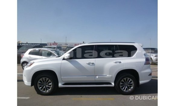 Buy Import Lexus GX White Car in Import - Dubai in Central Buy Import Lexus GX White Car in Import - Dubai in Central