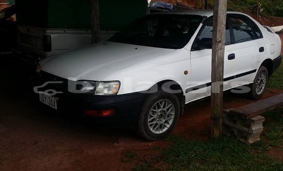 Buy Used Toyota Corolla Other Car in Navua in Central Buy Used Toyota Corolla Other Car in Navua in Central