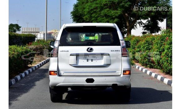 Acheter Import Voiture Lexus GX Blanc à Import - Dubai, Central Acheter Import Voiture Lexus GX Blanc à Import - Dubai, Central
