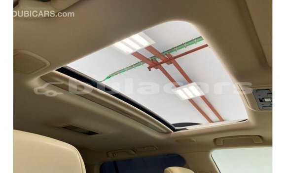 Acheter Import Voiture Toyota Land Cruiser Blanc à Import - Dubai, Central Acheter Import Voiture Toyota Land Cruiser Blanc à Import - Dubai, Central