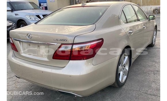 Buy Import Lexus LS Other Car in Import - Dubai in Central Buy Import Lexus LS Other Car in Import - Dubai in Central