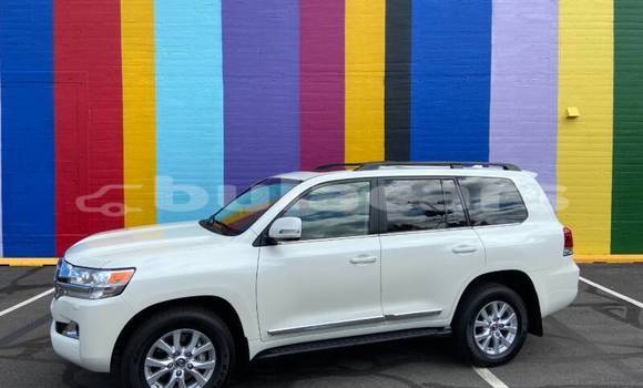 Acheter Occasion Voiture Toyota Land Cruiser Blanc à Import - Dubai, Central