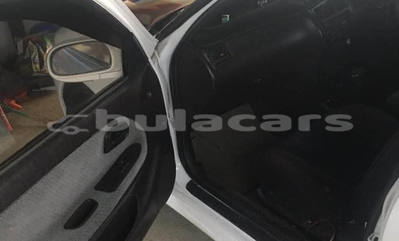 Buy Used Toyota Sprinter White Car in Suva in Central Buy Used Toyota Sprinter White Car in Suva in Central