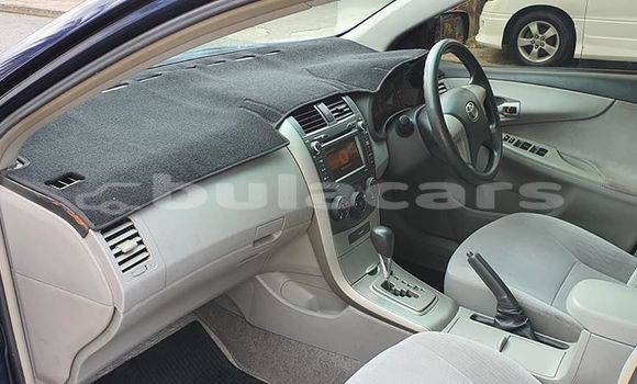 Buy Used Toyota Corolla Blue Car in Nadi in Western Buy Used Toyota Corolla Blue Car in Nadi in Western
