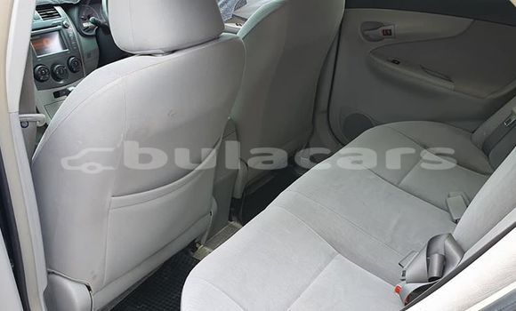 Buy Used Toyota Corolla Blue Car in Nadi in Western Buy Used Toyota Corolla Blue Car in Nadi in Western