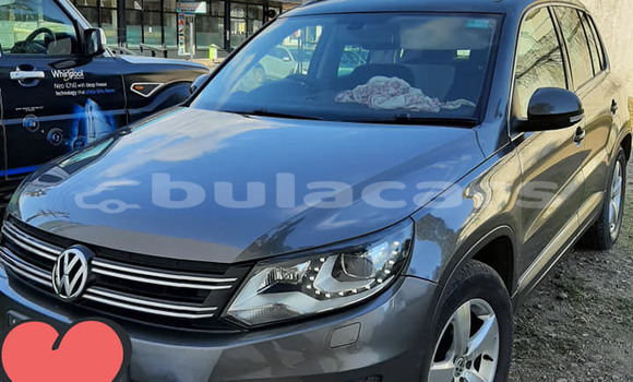 Buy Used Volkswagen Tiguan Grey Car in Suva in Central Buy Used Volkswagen Tiguan Grey Car in Suva in Central