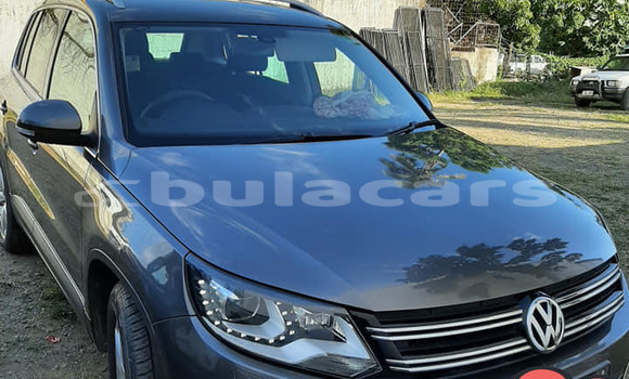 Buy Used Volkswagen Tiguan Grey Car in Suva in Central Buy Used Volkswagen Tiguan Grey Car in Suva in Central
