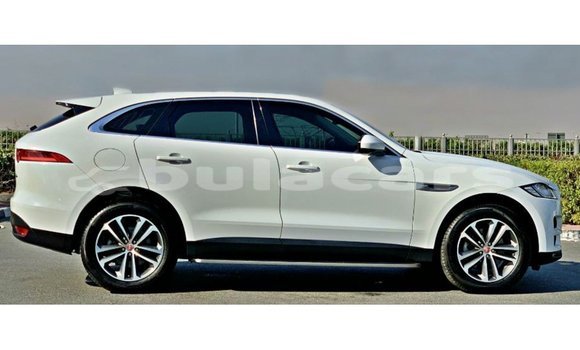 Acheter Import Voiture Jaguar F-Pace Blanc à Import - Dubai, Central Acheter Import Voiture Jaguar F-Pace Blanc à Import - Dubai, Central
