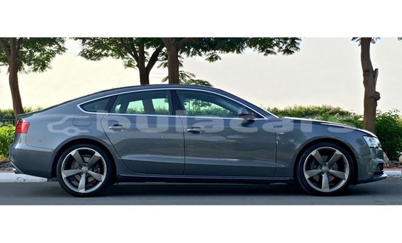 Acheter Import Voiture Audi A5 Gris à Import - Dubai, Central Acheter Import Voiture Audi A5 Gris à Import - Dubai, Central