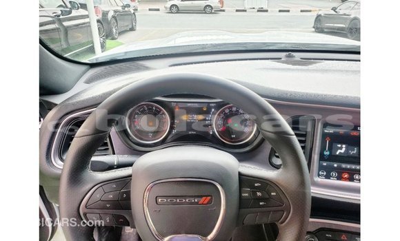 Acheter Import Voiture Dodge Challenger Blanc à Import - Dubai, Central Acheter Import Voiture Dodge Challenger Blanc à Import - Dubai, Central