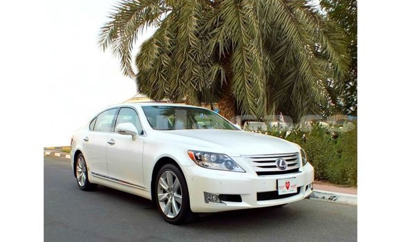 Buy Import Lexus LS White Car in Import - Dubai in Central