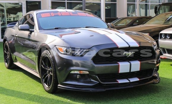 Buy Import Ford Mustang Grey Car in Import - Dubai in Central