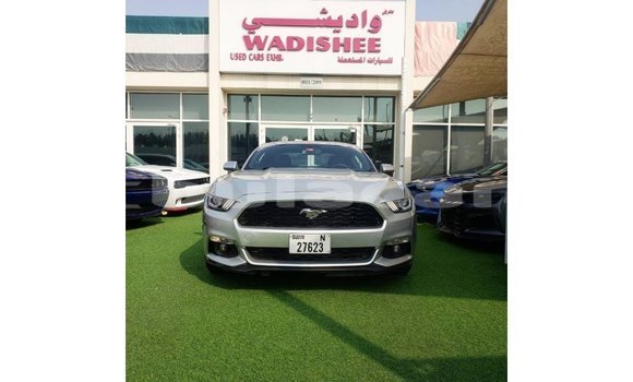 Buy Import Ford Mustang Grey Car in Import - Dubai in Central