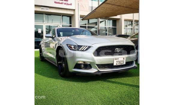 Buy Import Ford Mustang Grey Car in Import - Dubai in Central Buy Import Ford Mustang Grey Car in Import - Dubai in Central