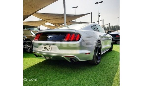 Buy Import Ford Mustang Grey Car in Import - Dubai in Central Buy Import Ford Mustang Grey Car in Import - Dubai in Central