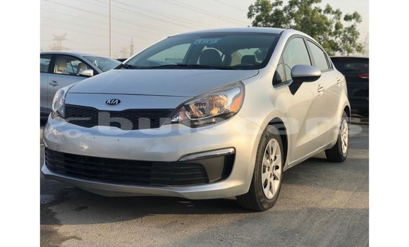 Buy Import Kia Rio Grey Car in Import - Dubai in Central