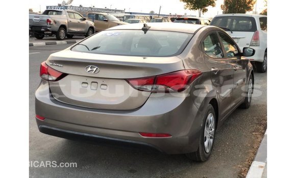 Buy Import Hyundai Elantra Brown Car in Import - Dubai in Central Buy Import Hyundai Elantra Brown Car in Import - Dubai in Central