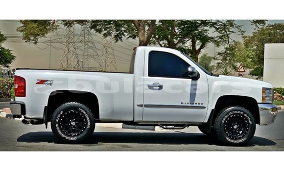 Buy Import Chevrolet Silverado White Car in Import - Dubai in Central Buy Import Chevrolet Silverado White Car in Import - Dubai in Central