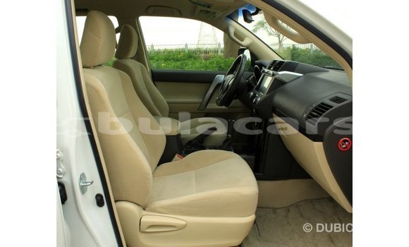 Buy Import Toyota Prado White Car in Import - Dubai in Central Buy Import Toyota Prado White Car in Import - Dubai in Central