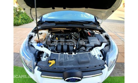 Buy Import Ford Focus White Car in Import - Dubai in Central Buy Import Ford Focus White Car in Import - Dubai in Central