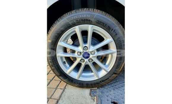 Buy Import Ford Focus White Car in Import - Dubai in Central Buy Import Ford Focus White Car in Import - Dubai in Central